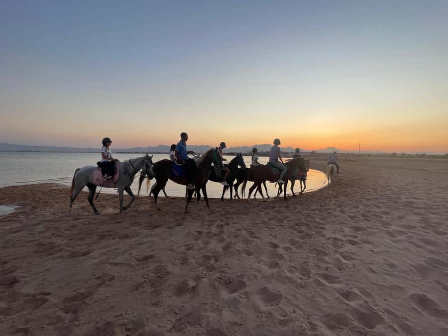Soma Bay: Horse Riding Beach and Desert Tour With Transfer - Comfort, Clothing, And Practical Preparation
