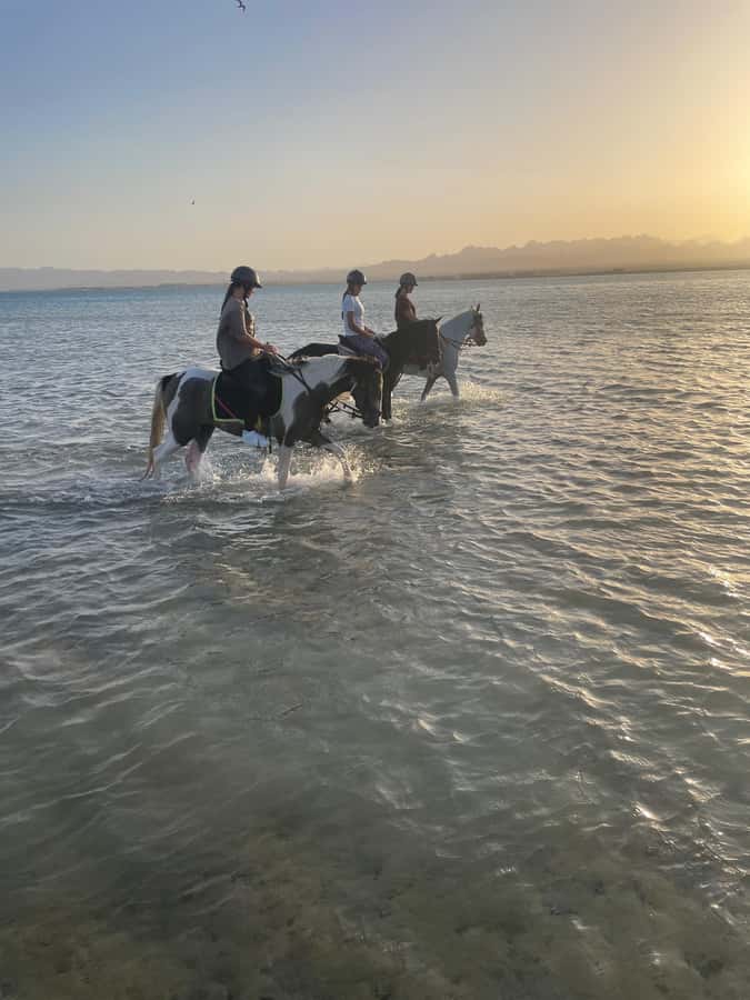 Soma Bay: Horse Riding Beach and Desert Tour With Transfer - Who Will Enjoy This Most