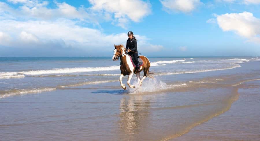 Soma Bay: Horse Riding Beach and Desert Tour With Transfer - Riding Along The Red Sea Coast