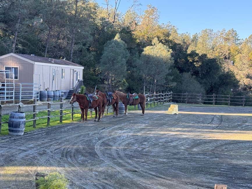 Sonoma County: Wine Country Horseback Riding Adventure - Key details at a glance