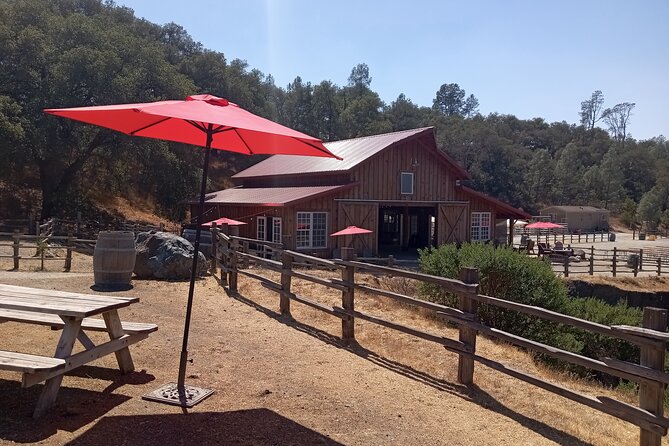 Sonoma Horseback-Riding Tour - Why the six-person limit matters