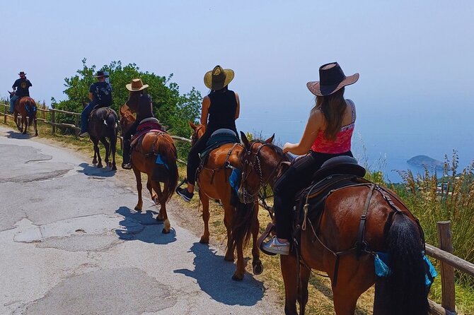 Sorrento Guided Horseback Riding Tour - Key points to know before booking