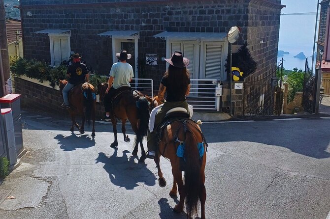Sorrento Guided Horseback Riding Tour - Pineta Le Tore, Sorrento’s highest point