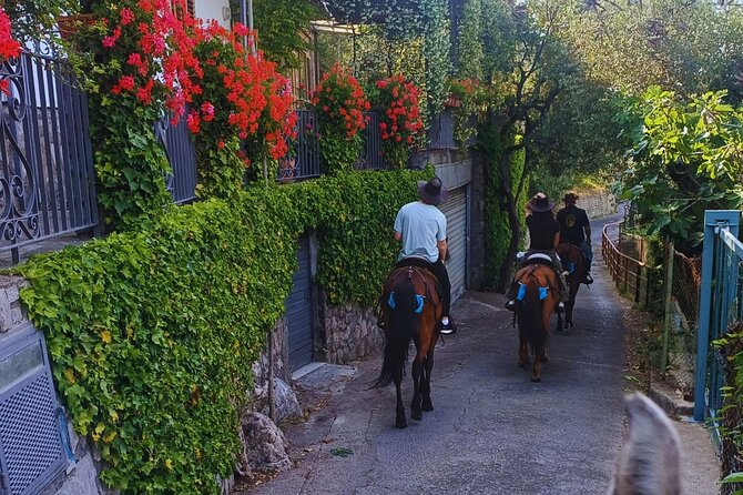 Sorrento Guided Horseback Riding Tour - What the 90-minute format means