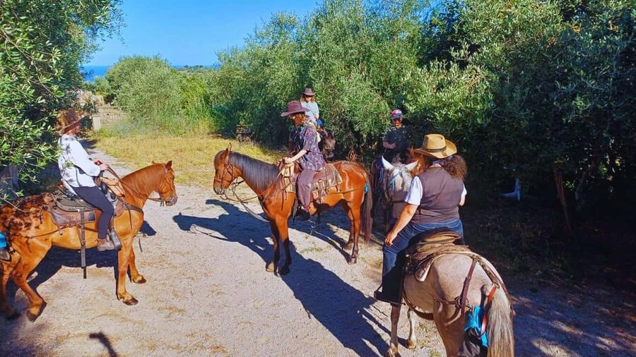 Sorrento: Horseback Riding Tour with Guide - Key points to know before booking