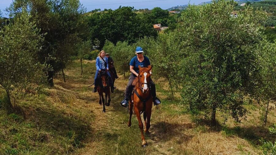 Sorrento: Horseback Riding Tour with Guide - Who should book this experience