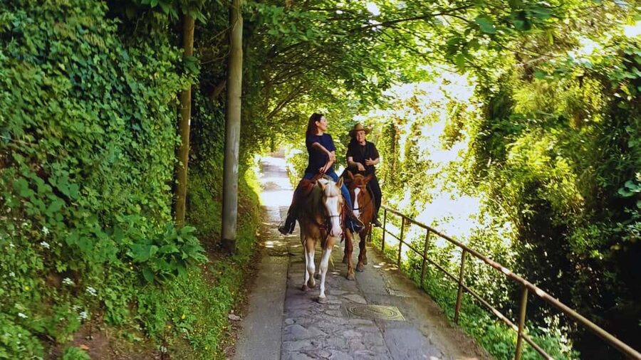 Sorrento: Horseback Riding Tour with Guide - The Li Galli and Salerno Coast viewpoint