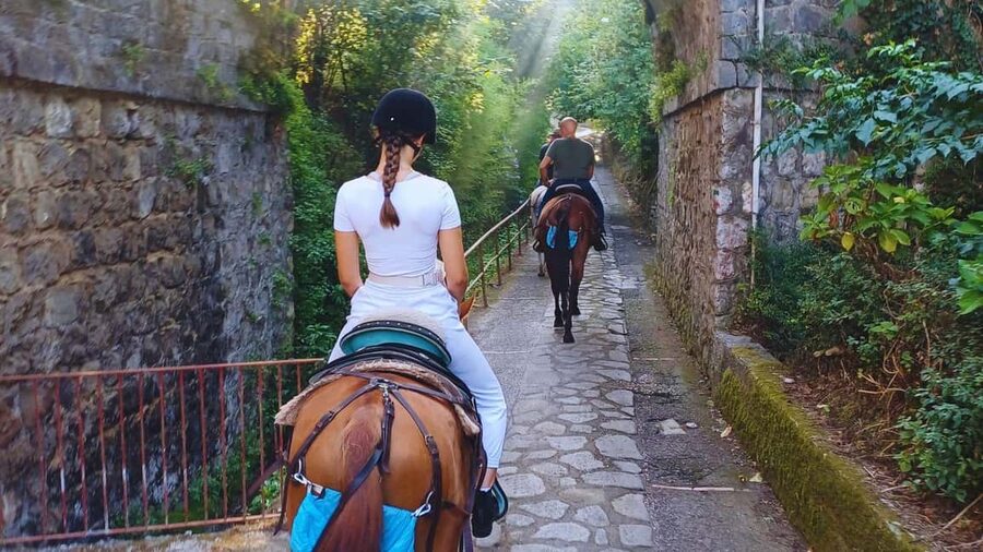 Sorrento: Horseback Riding Tour with Guide - Reaching Pineta Le Tore, Sorrento’s high point