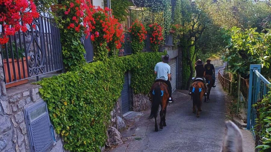 Sorrento: Horseback Riding Tour with Guide - What is included, and what you still need