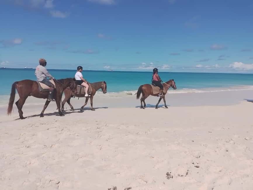 St. Johns: Horseback Riding Bareback Swim, &Fort James Beach - Fort James Beach Gives You Time to Settle In