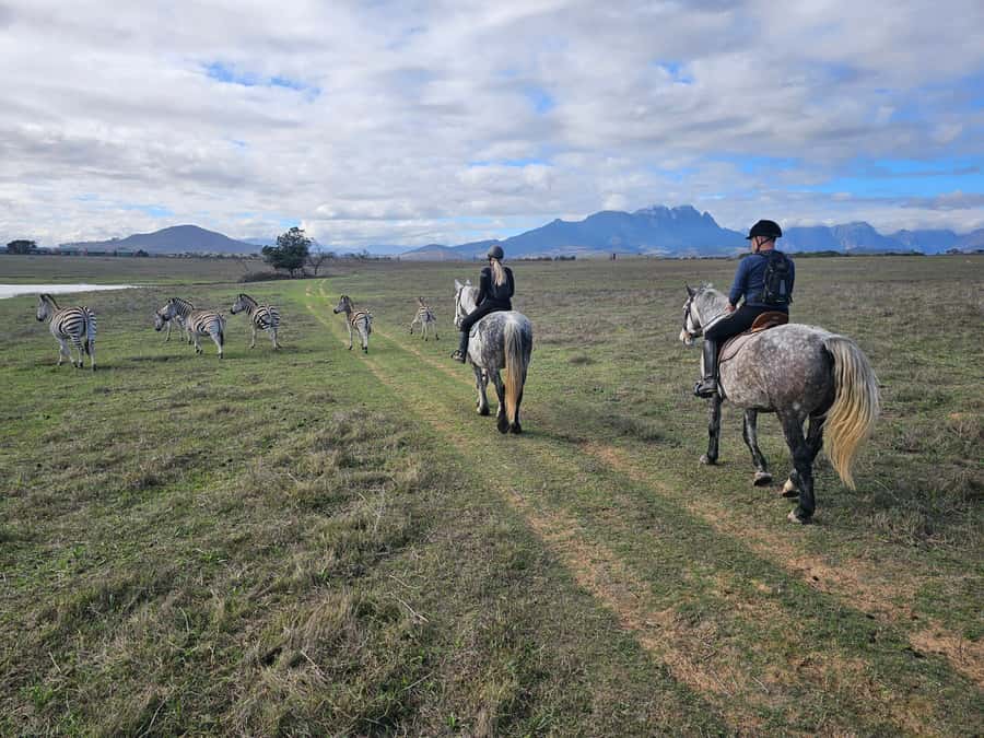Stellenbosch: Horse Riding Wildlife Safari - A wildlife ride close to Stellenbosch