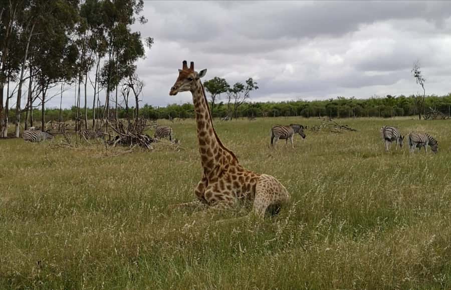 Stellenbosch: Horse Riding Wildlife Safari - What to wear and bring