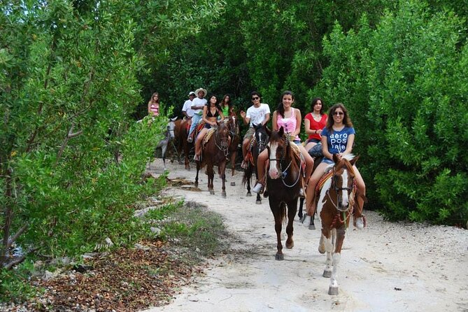 STROLL the Jungle Trails on a HORSE. Includes Transportation and Equipment. - Registration, helmets, and meeting your horse