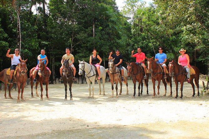 STROLL the Jungle Trails on a HORSE. Includes Transportation and Equipment. - Safety rules, ages, and riding ability