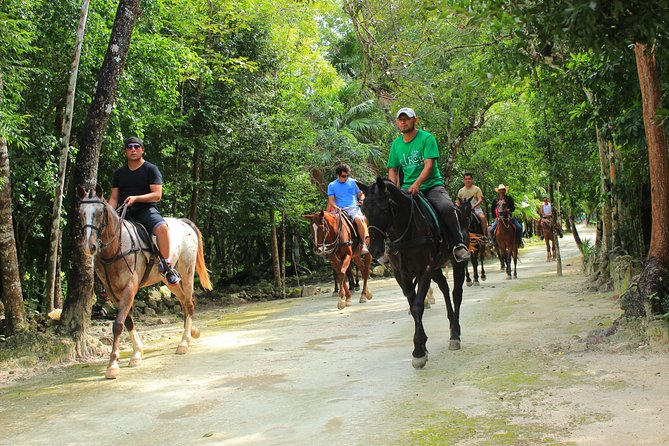 STROLL the Jungle Trails on a HORSE. Includes Transportation and Equipment. - Who will enjoy this ride most
