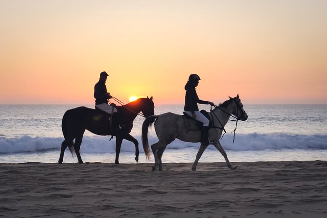 Stunning Sundown Beach Ride on horseback! MINIMUM 2 PARTICIPANTS - Choosing between Spanish horses and polo horses