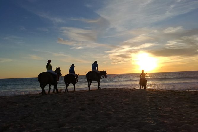 Stunning Sundown Beach Ride on horseback! MINIMUM 2 PARTICIPANTS - A gentle ride, not a fast beach hack