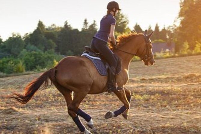 Sunrise Horse Riding Dubai - Why sunrise is the right time for desert riding