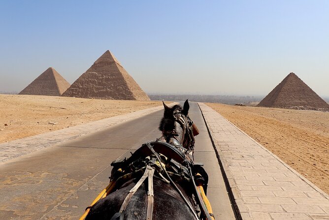 Sunrise Horseback Ride Around the Pyramid of Giza - Meeting the horses and setting the pace