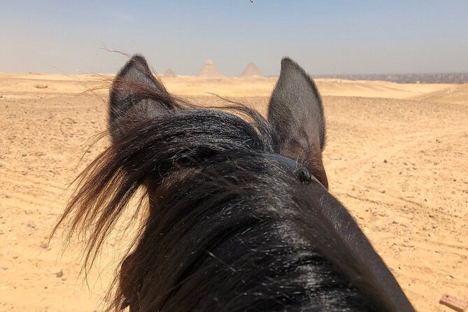 Sunrise Horseback Ride Around the Pyramid of Giza - One hour around the Pyramids of Giza