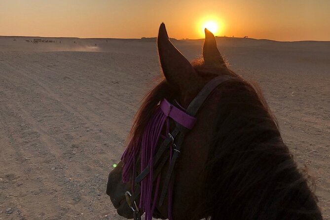 Sunrise Horseback Ride Around the Pyramid of Giza - Drinks, fees, and the $22 value