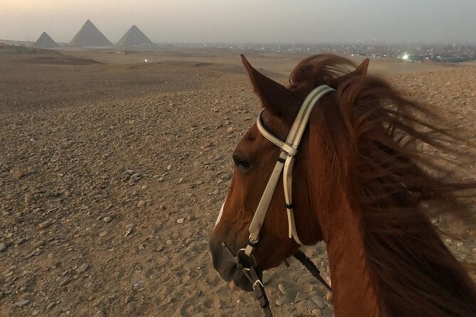 Sunrise Horseback Ride Around the Pyramid of Giza - Practical advice before you book