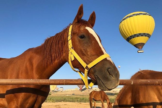 Sunrise Horsebackriding Tour in Cappadocia - The balloons depend on the weather