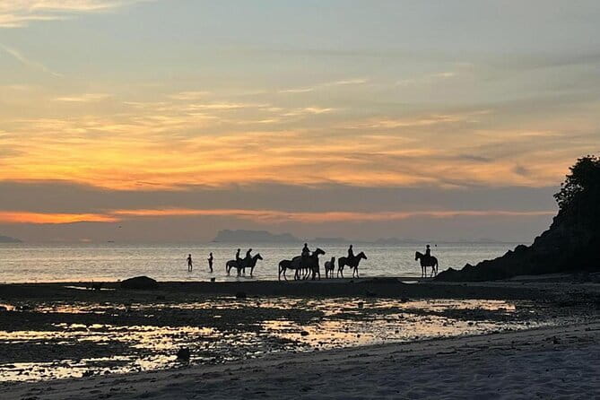 Sunset Beach Horseback Ride Phuket - From the Phuket stable to the garden paths