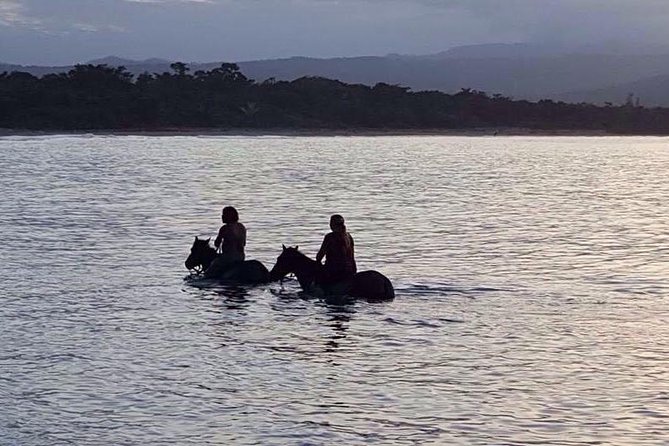 Sunset Beach Horseback Riding - From Puerto Plata Hotels To The Jungle Trail
