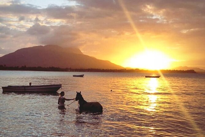 Sunset Beach Horseback Riding - The Horse Swim At Bergantin Beach