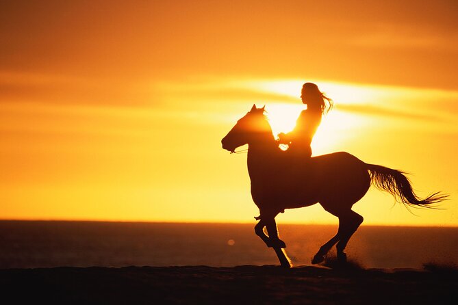 Sunset Beach Horseback Riding - Guides, Care, And The Human Side