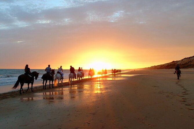 Sunset Beach Horseback Riding - Who Will Get The Most From This Ride?