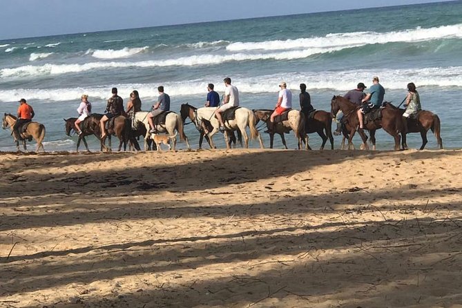 Sunset beach horsebackriding Punta Cana - Key points before you book