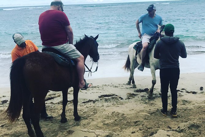 Sunset beach horsebackriding Punta Cana - Photos, coconut water, and the sales stop