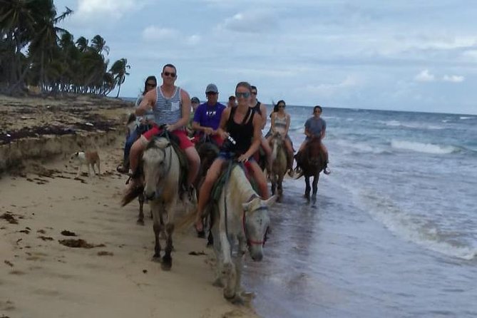 Sunset beach horsebackriding Punta Cana - Horses, safety, and comfort
