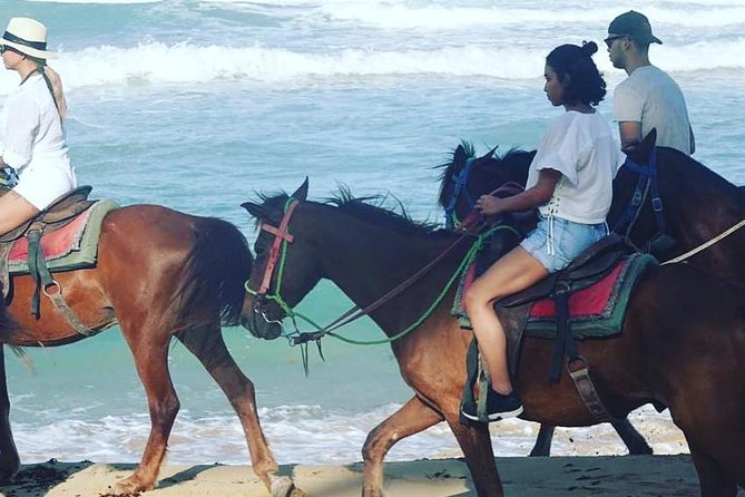 Sunset beach horsebackriding Punta Cana - Who should book this ride?