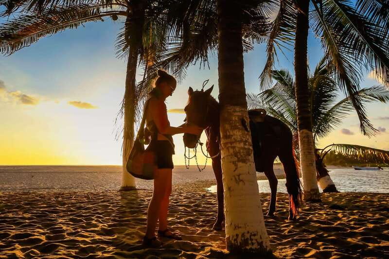 Sunset by Horse on the Beach - Key points to know before you book