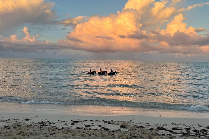 Sunset Horse Ride Experience - Celebrations receive extra attention