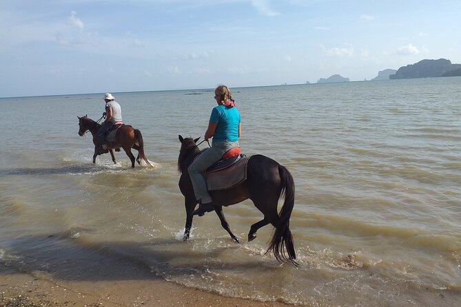 Sunset Horse Riding And BBQ Dinner Tour At Ao Nam Mao Beach Krabi - Who Will Enjoy This Evening Most