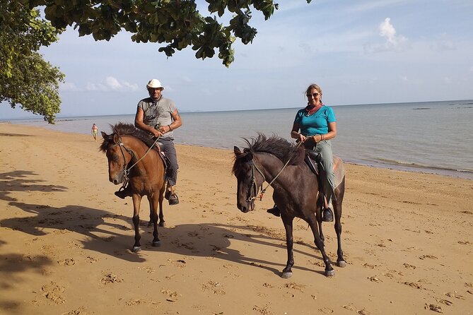 Sunset Horse Riding And BBQ Dinner Tour At Ao Nam Mao Beach Krabi - Choosing the Right Horse for Your Riding Level