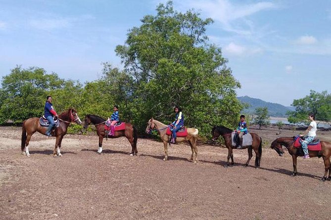 Sunset Horse Riding Tour at Ao Nam Mao Beach Krabi - Riding along Ao Nam Mao Beach at sunset