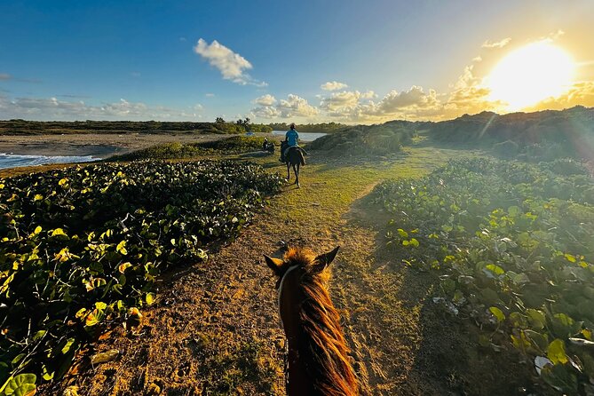 Sunset Horseback Ride at Macao Beach & Forest with Transfers - Why Macao Beach makes the ride worthwhile