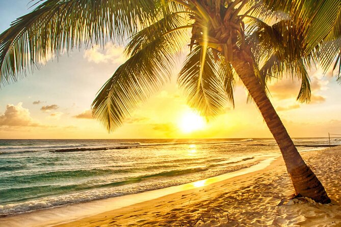 Sunset Horseback Ride at Macao Beach & Forest with Transfers - The souvenir stop and free tastings