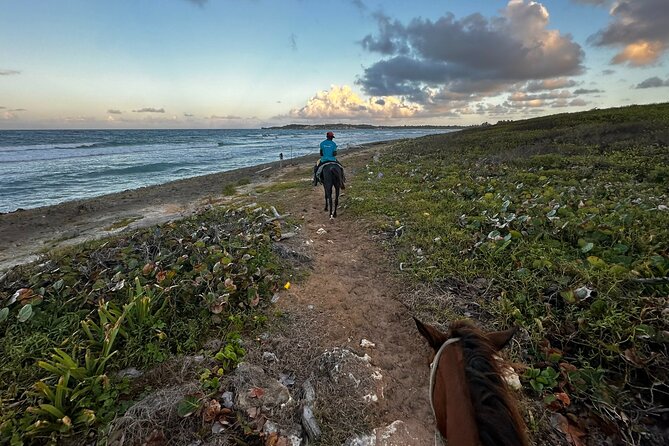 Sunset Horseback Ride at Macao Beach & Forest with Transfers - Who will enjoy this Punta Cana excursion?
