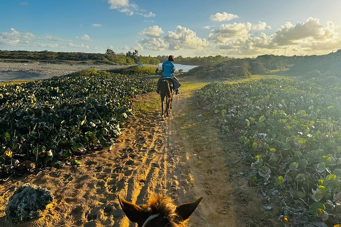Sunset Horseback Ride at Macao Beach & Forest with Transfers - The final call: book it for the beach ride