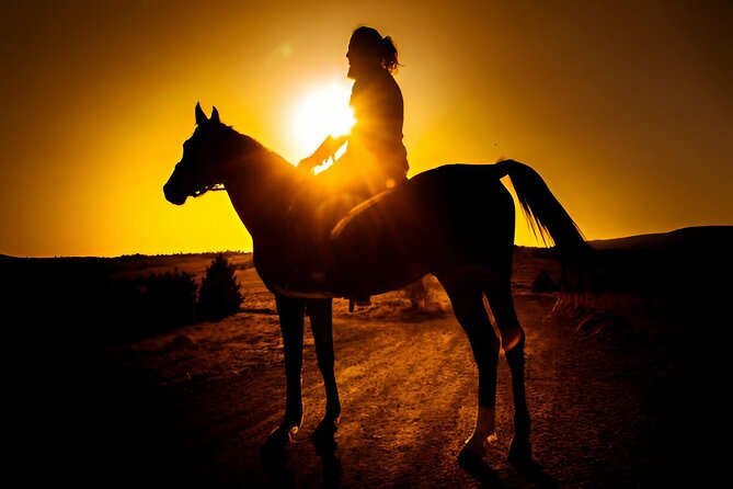 Sunset Horseback Ride at Macao Beach & Forest with Transfers - The ride itself: a real two-hour outing