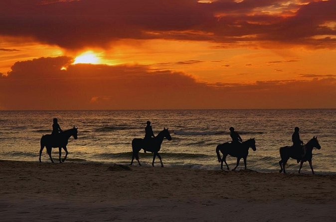 Sunset Horseback Ride by the Beach in Aguadilla, Puerto Rico - Reaching Punta Borinquen Beach