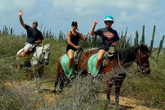 Sunset Horseback Ride in Aruba - What the $130 price really covers