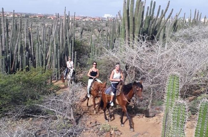 Sunset Horseback Ride in Aruba - Clothing, comfort, and riding ability