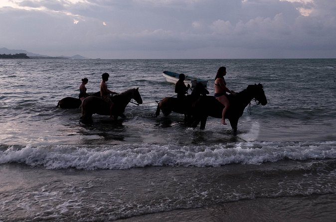 Sunset Horseback Riding in Puerto Plata - What the price includes at $69